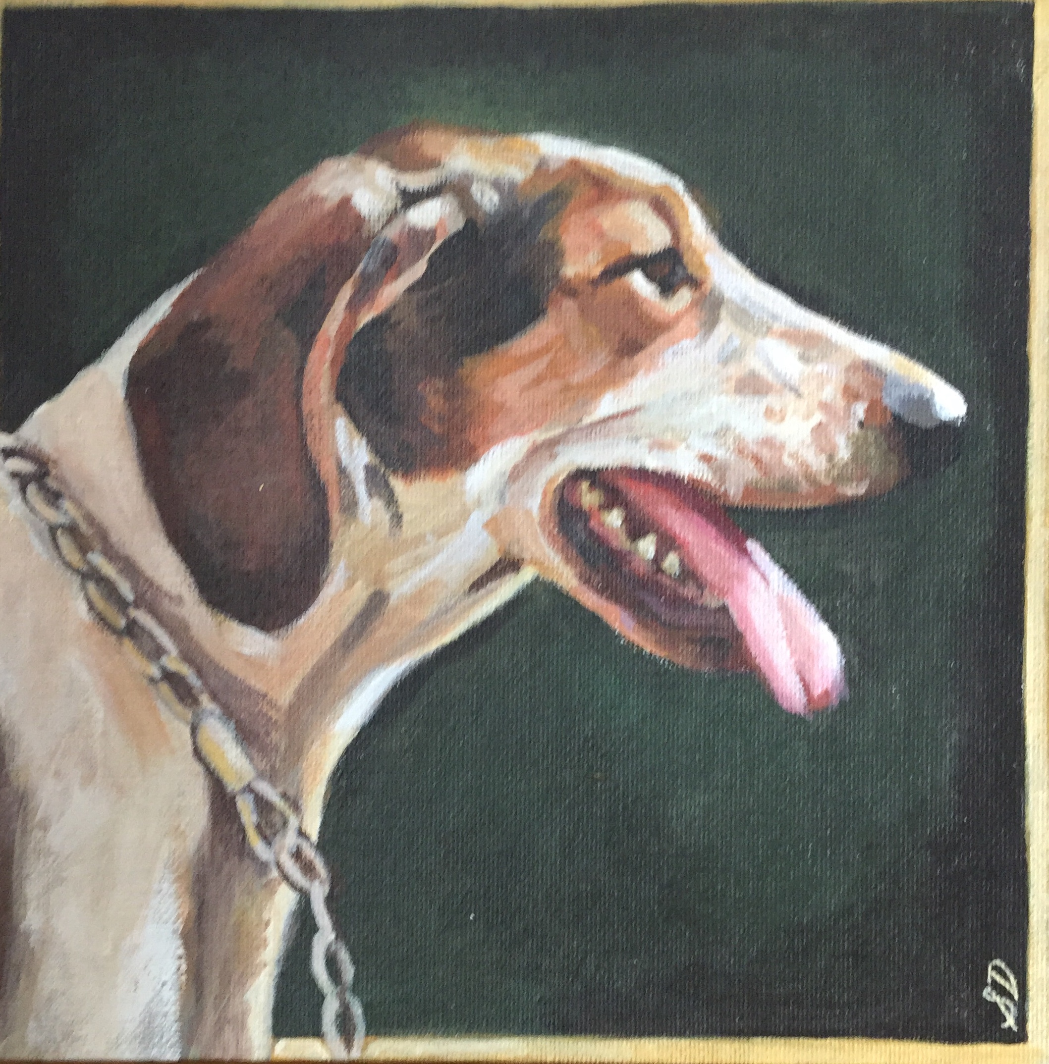 Hunt Dog 1