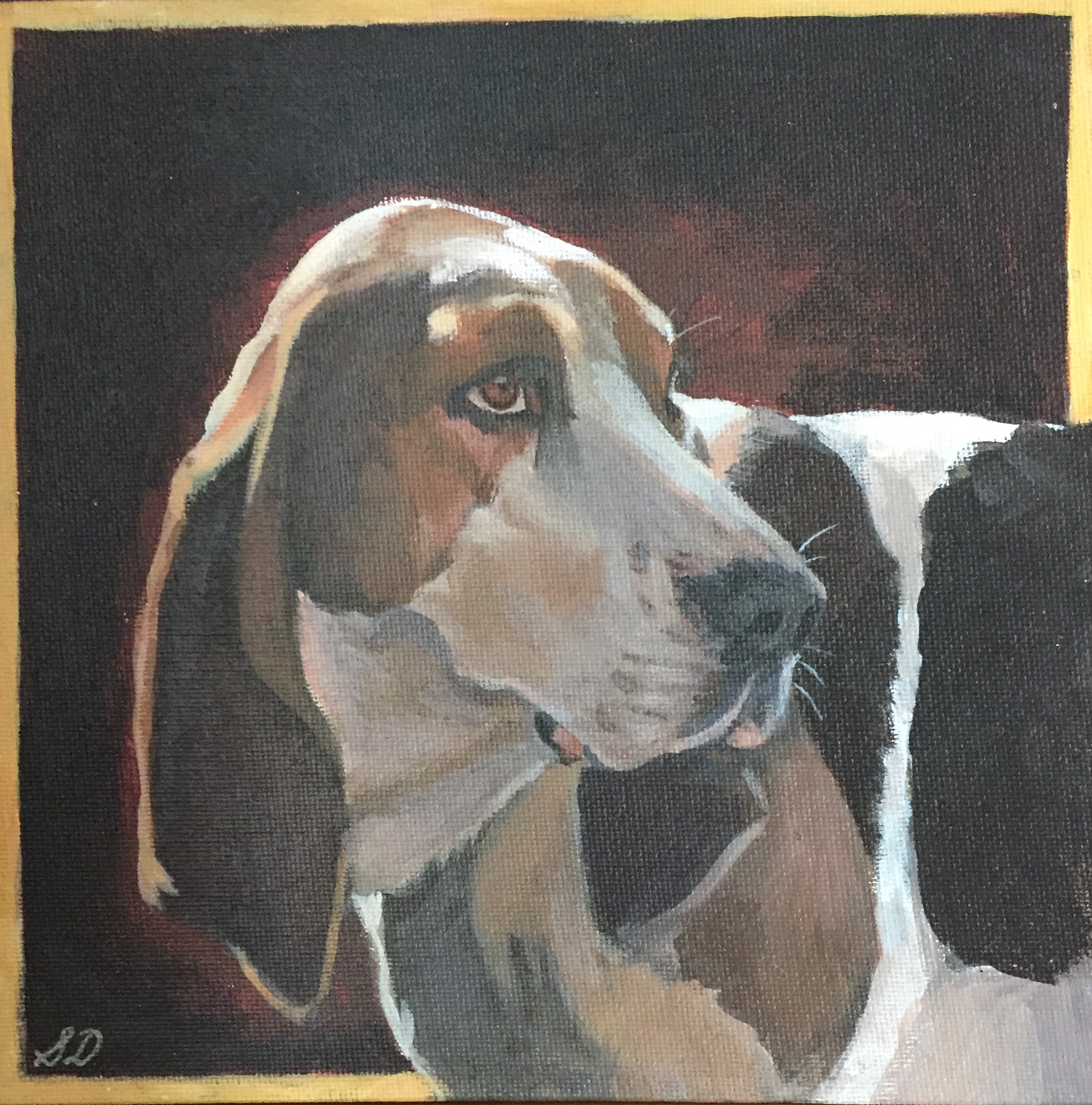 Hunt Dog 4